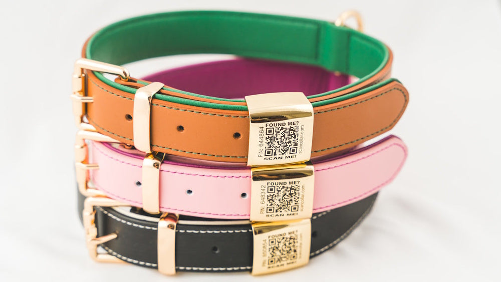 Never Lose Your Pet Again: The Scan Collar Solution