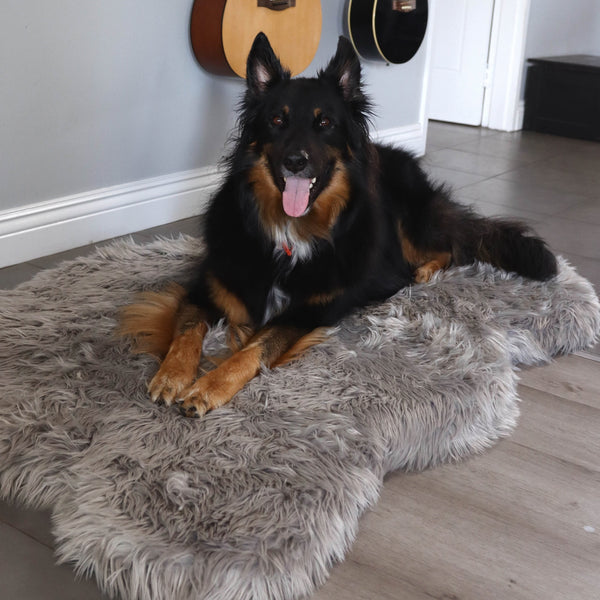 OrthoRug™ Luxury Orthopedic Bed + Matching Spare Cover