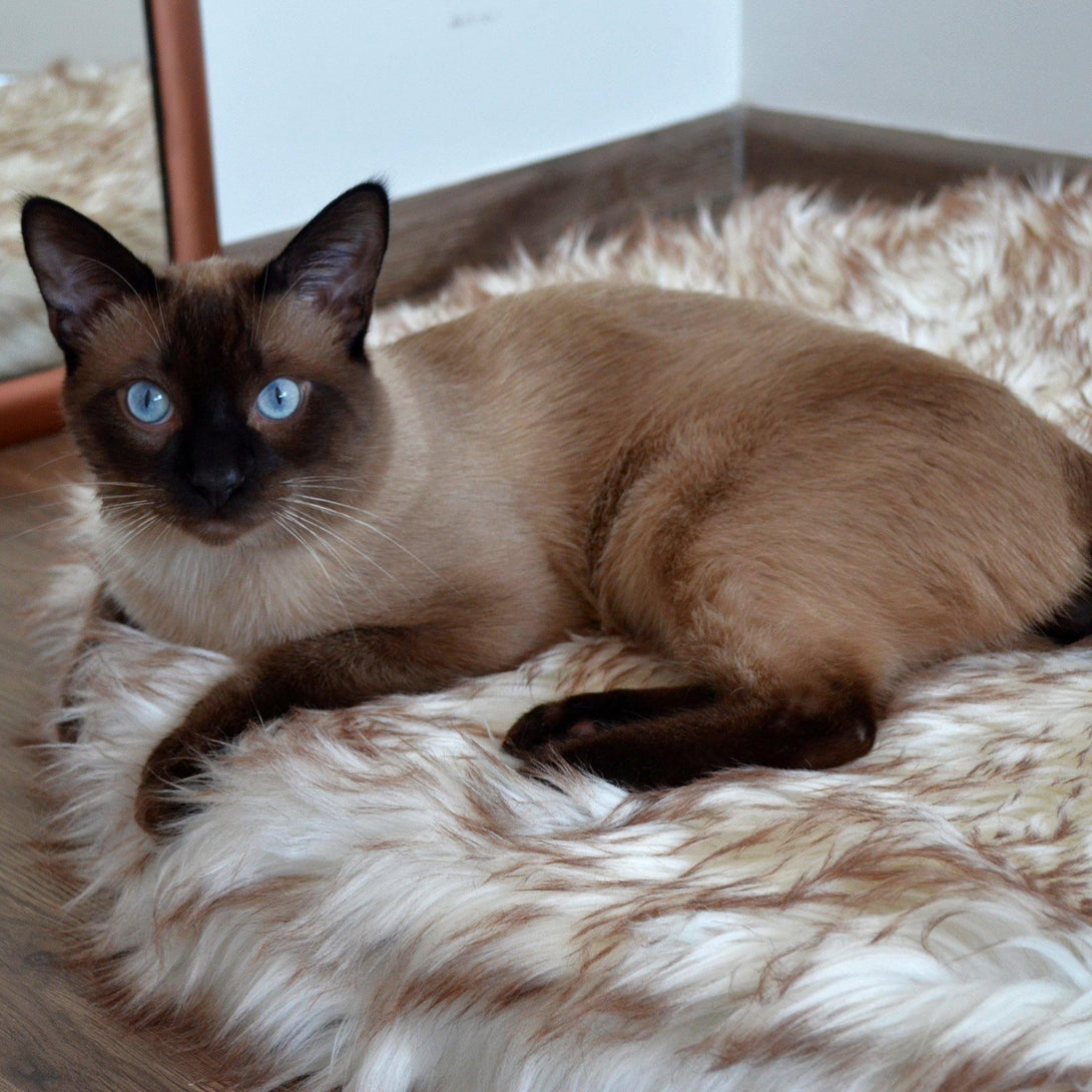 OrthoRug™ Cat Luxury Orthopedic Bed - OrthoRug Australia